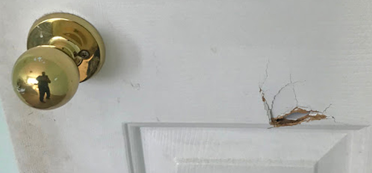interior door hole repair Lennox